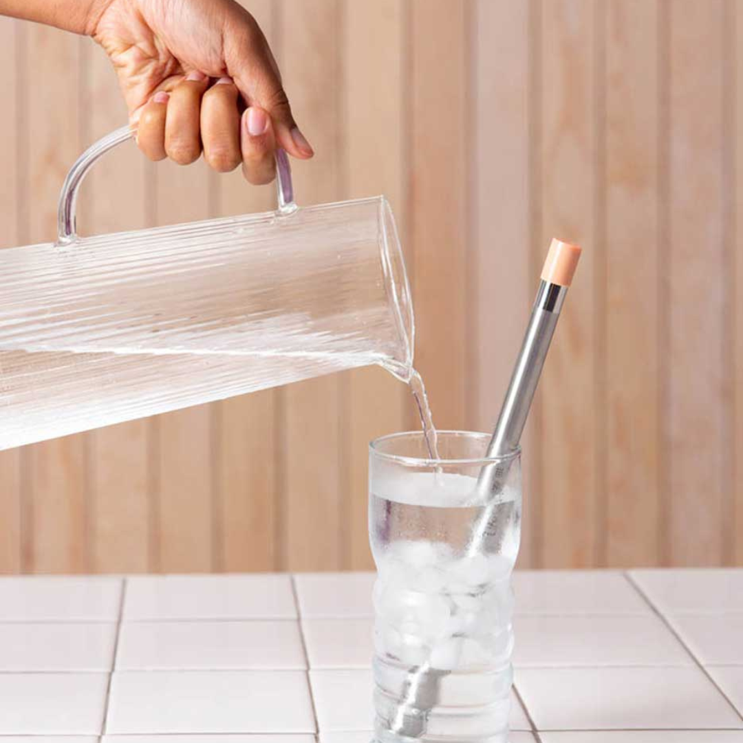 Lifestraw Sip - Herbruikbaar stalen filterrietje met draagtasje